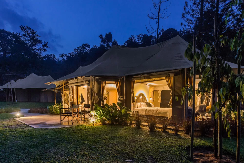 glamping - tent view at night