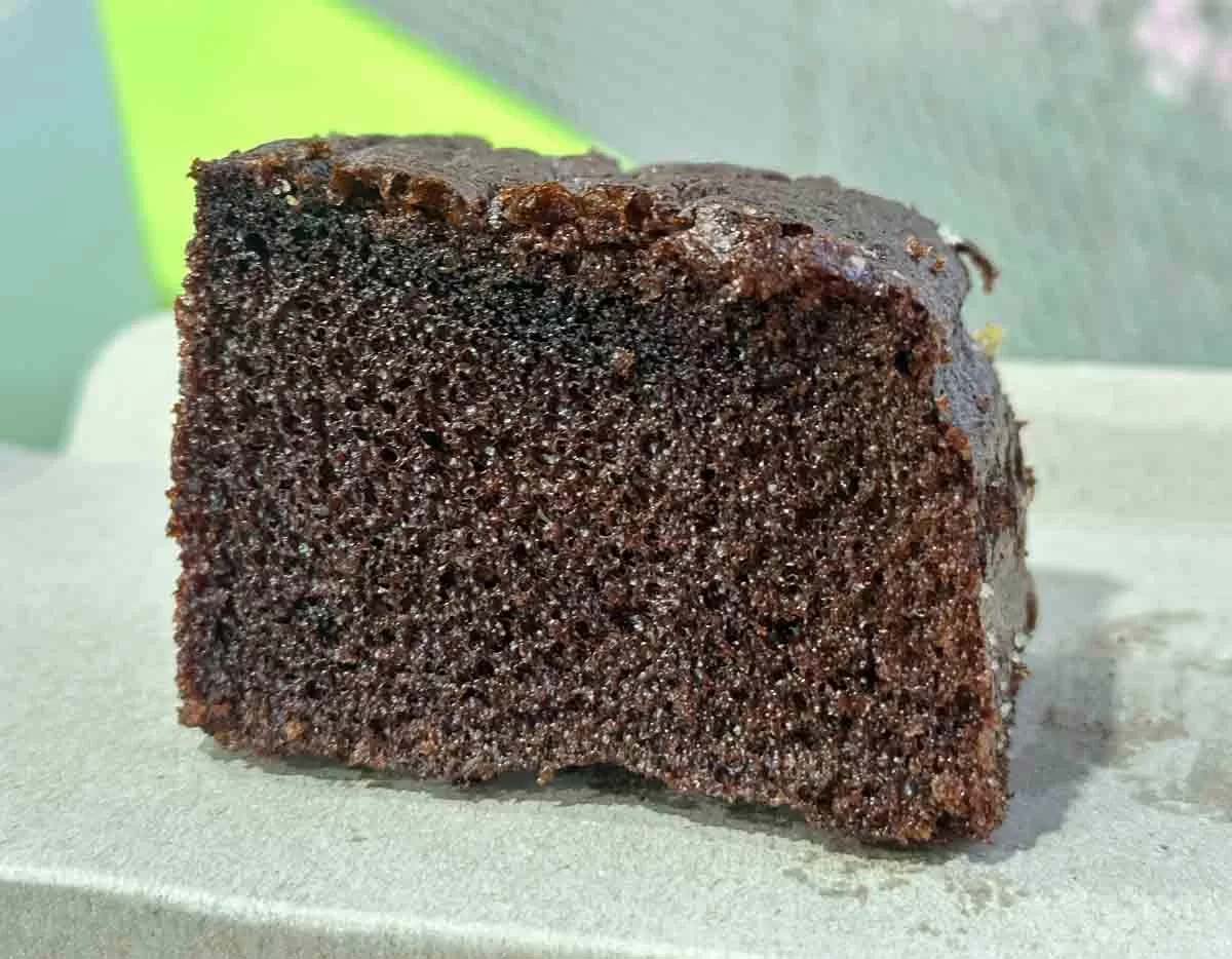 petite krumbs - brownie sourdough