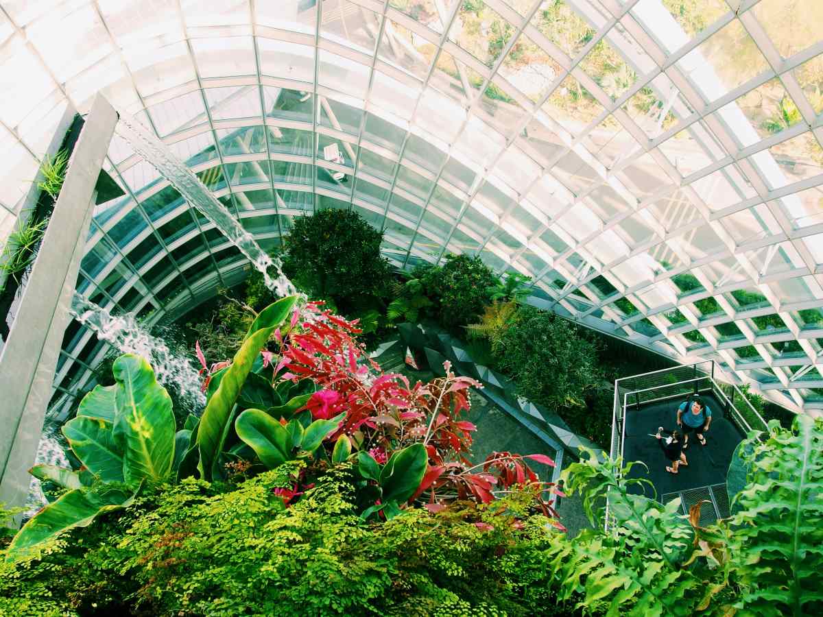 yu kato ONHpvjNwxK0 unsplash best indoor plant in singapore - plants being rinsed with water