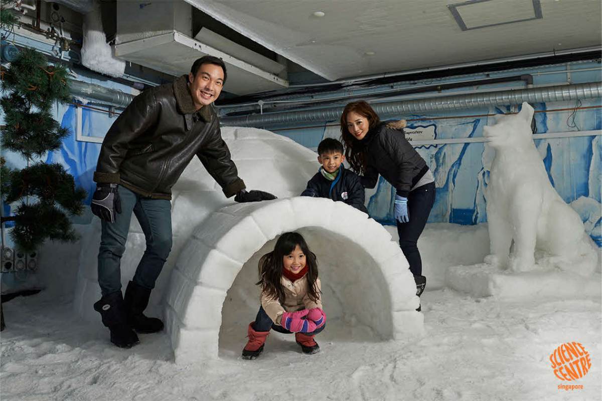 theme park - snow city