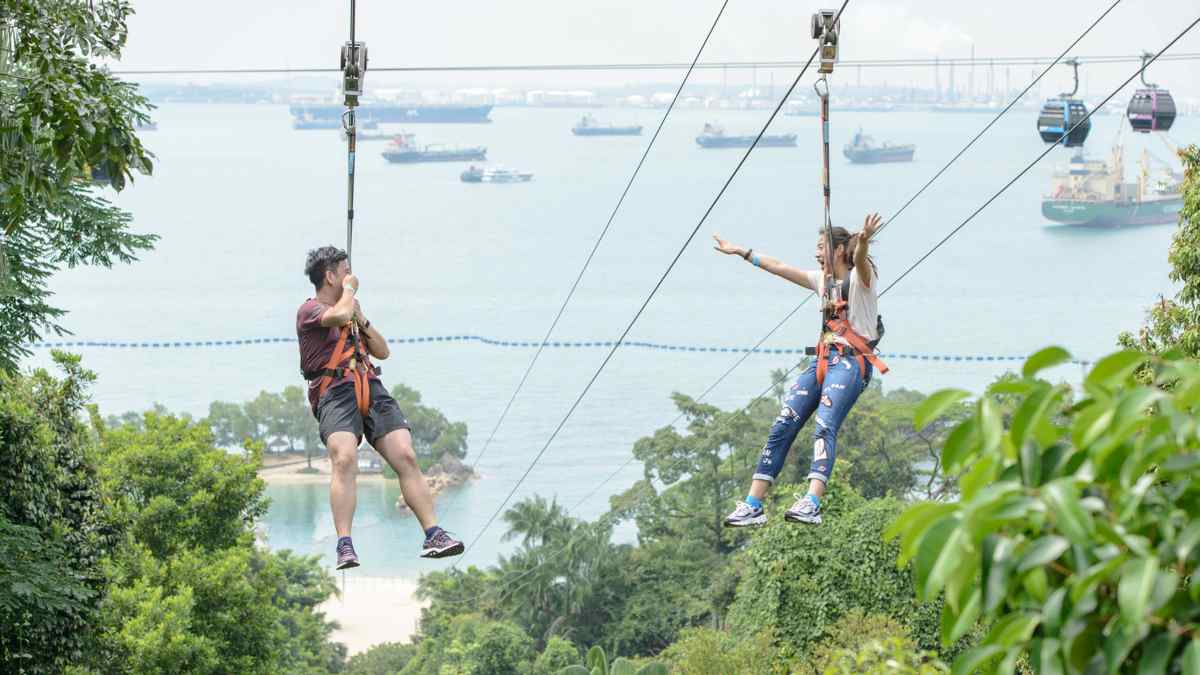 theme park - zipline at mega adventure park