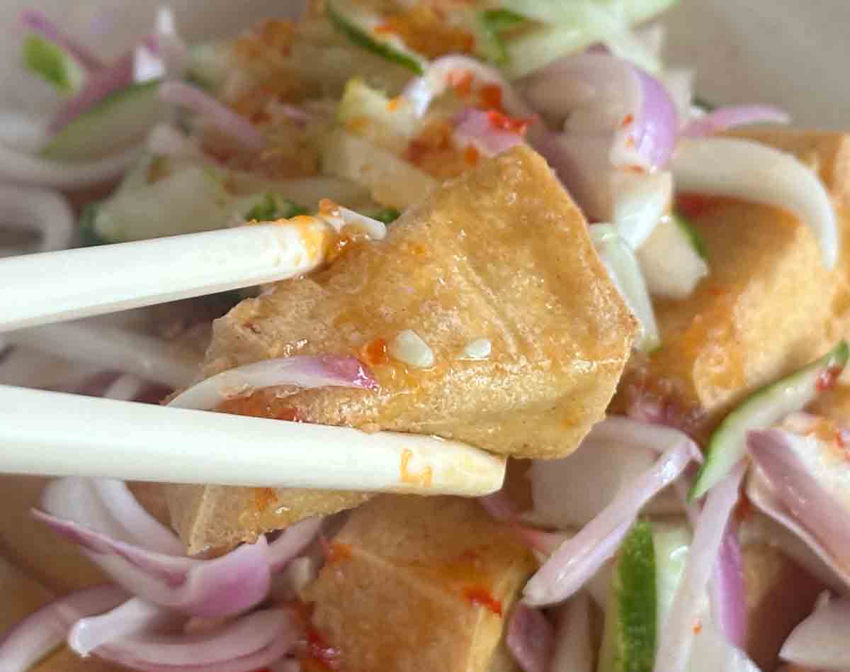 sin hoi sai - thai tofu closeup