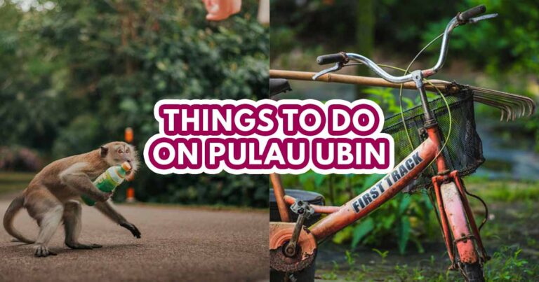 things to do at pulau ubin - featured image