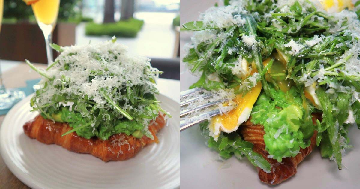 avo croast