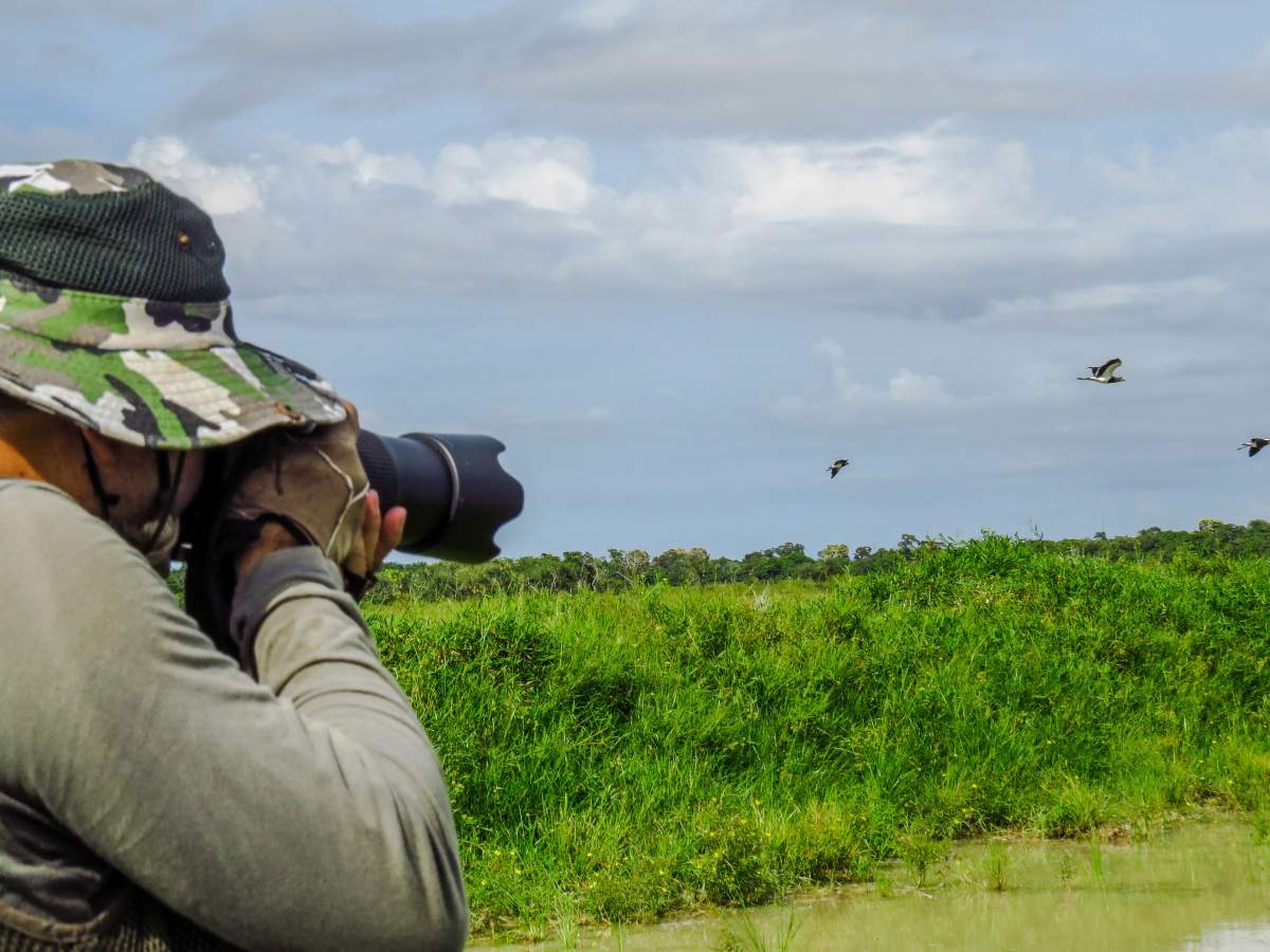 Best Free Hobbies - Birdwatching