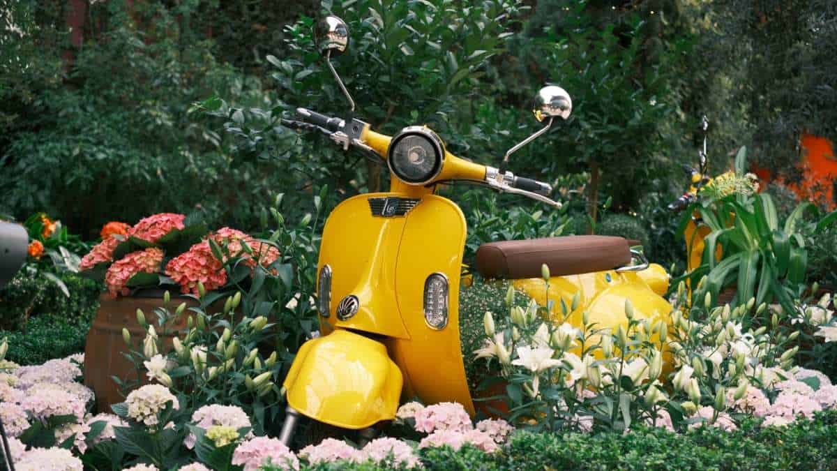 What to Do in Jun 2025 - Lilytopia Vespa What to Do in Jun 2025 - Lilytopia Vespa