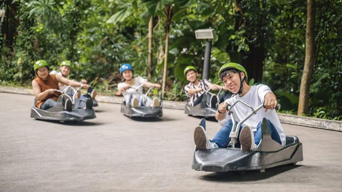 Best Team Bonding Activities - Skyline Luge