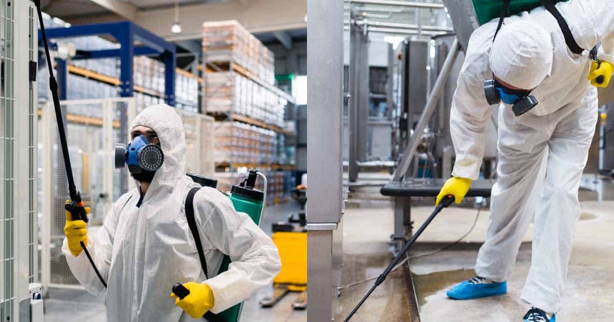 Best Pest Control Company - The Pest Control Company