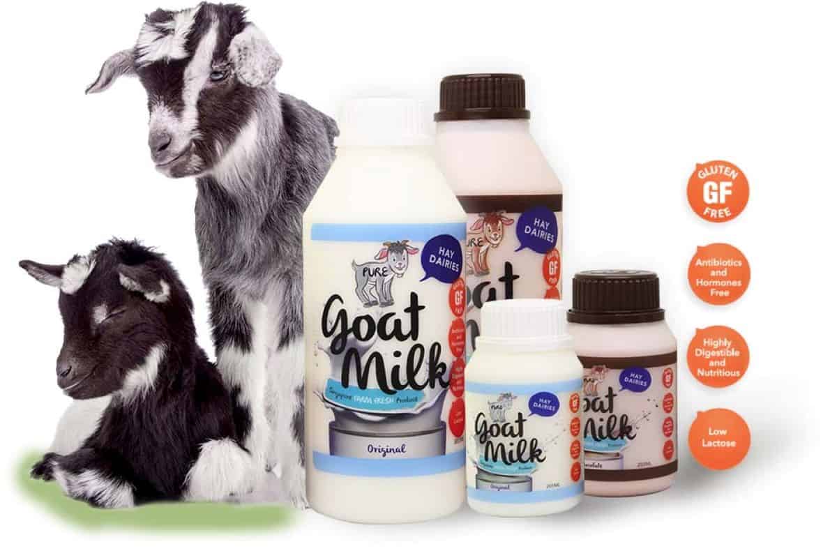 Best Dairy Farm - Hay Dairies