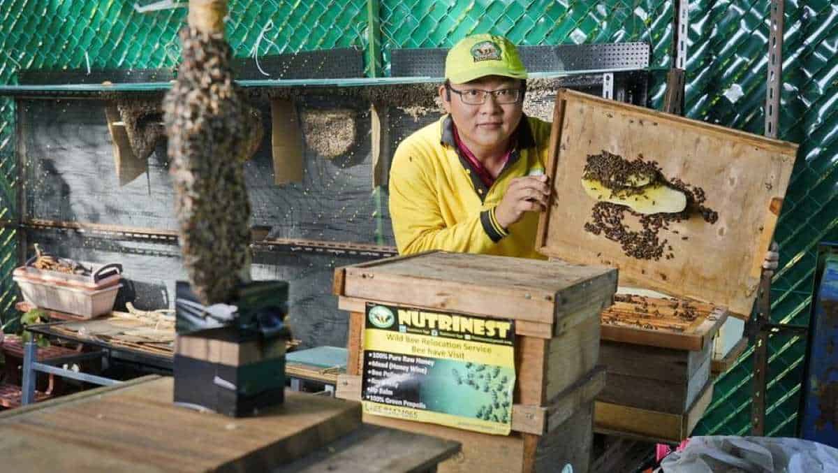 Best Bee Farm in Singapore - Nutrinest