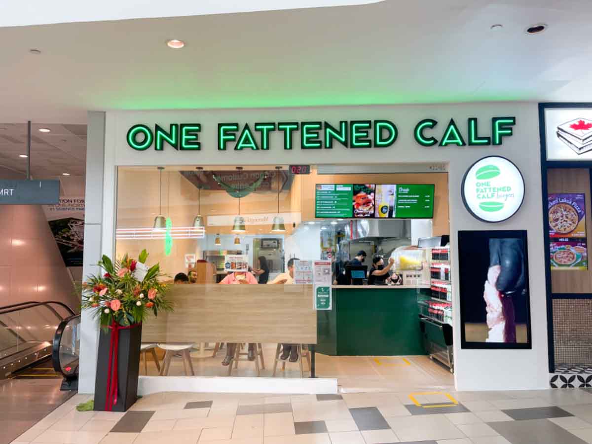 one fattened calf - front