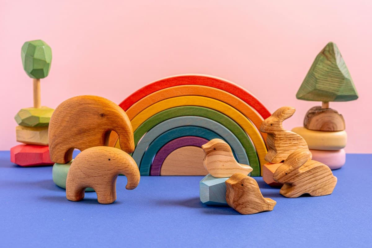 STEM & Montessori Toys - Montessori wooden set