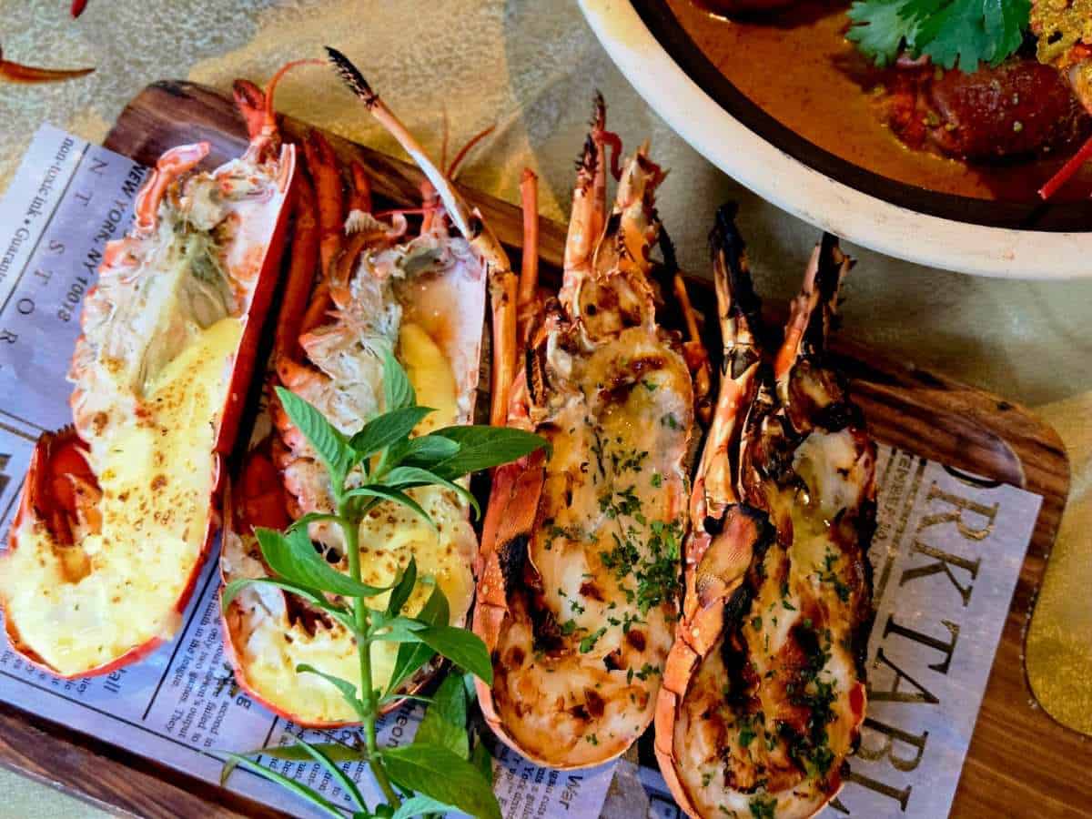 lobsterfest - lobster thermidor on tray