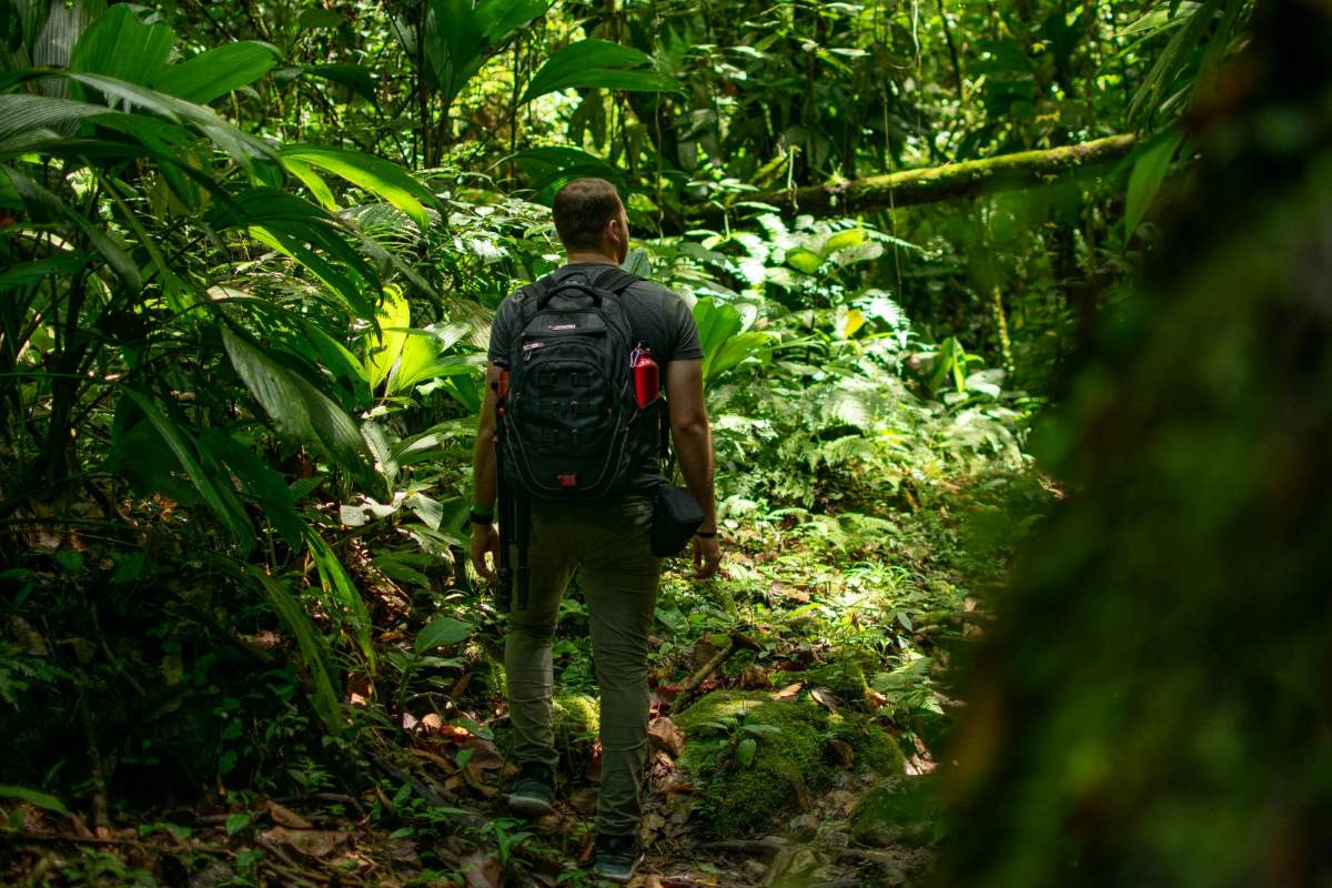 pulaubabibesar - jungletrekking
