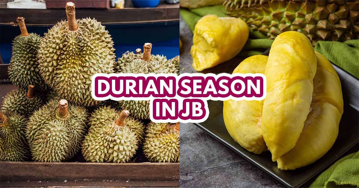Durian Carnival - Featured image