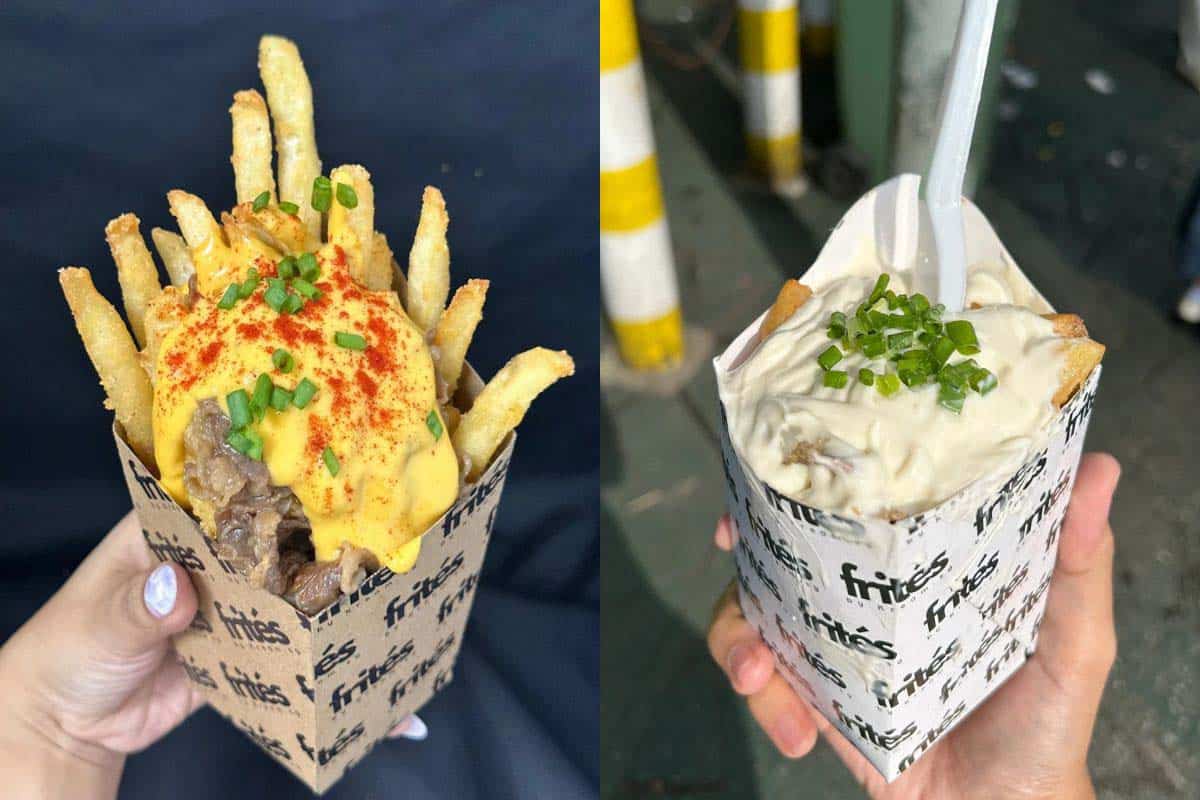 frités3 frités closing - loaded beef fries