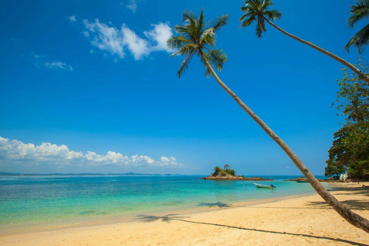 pulaubabibesar - beachside