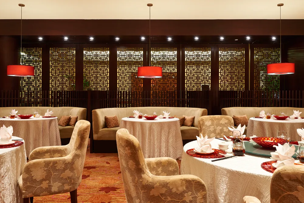 xin cuisine shunde menu - restaurant interior