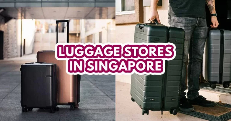 luggage store in singapore - featured image