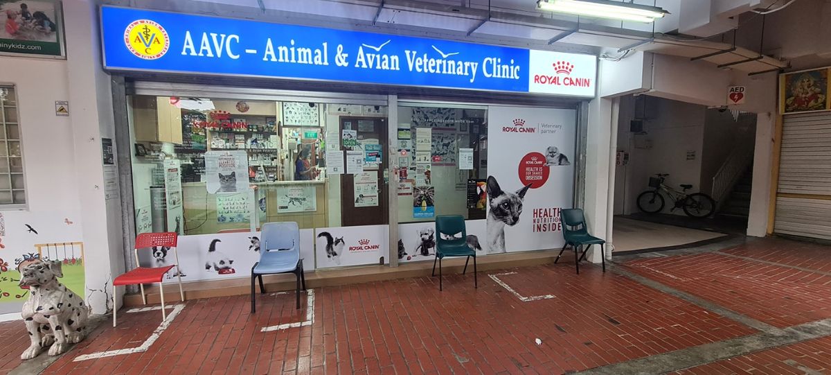 Best Veterinarian in Singapore - AAVC