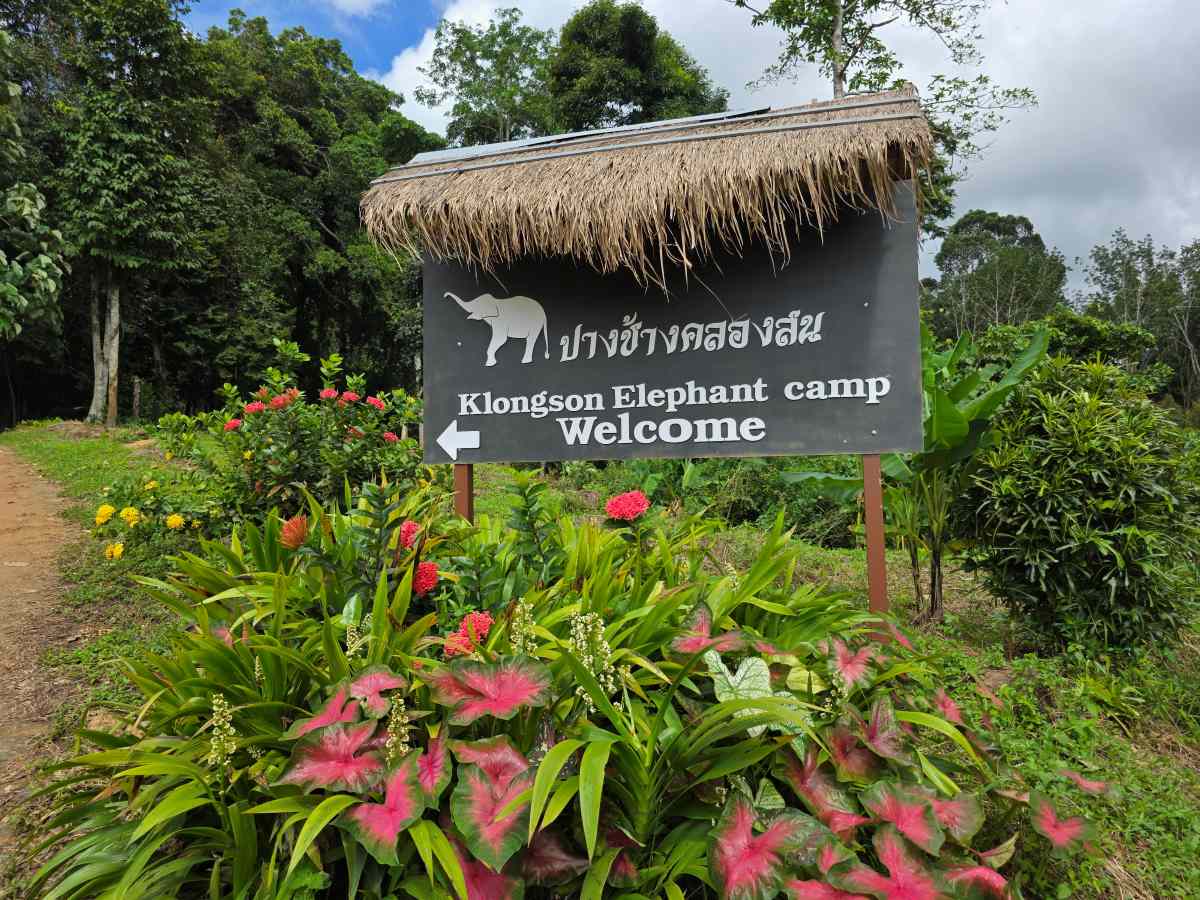 Trat & Chanthaburi - Klong Son elephant sanctuary Trat & Chanthaburi - Klong Son elephant sanctuary