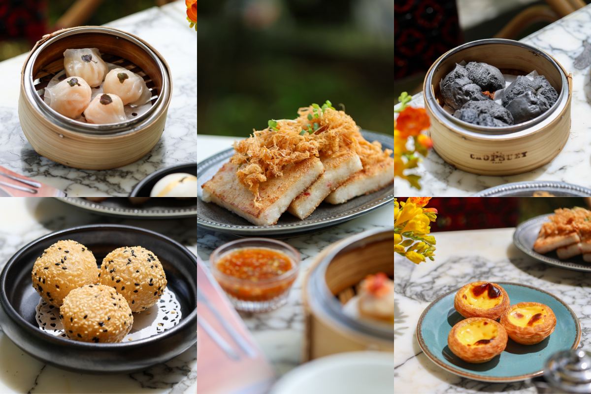 dim sum - chop suey dim sum choices