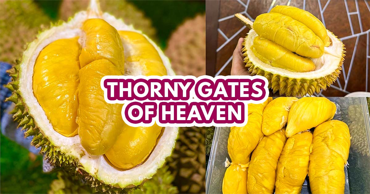 Royal Durian Buffet - Featured image