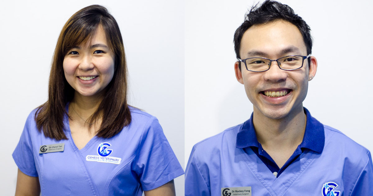 Best Veterinarian in Singapore - Genesis
