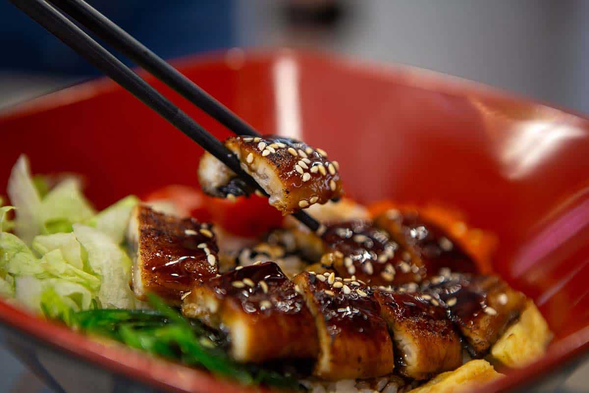 irosho - irosho unagi don unagi close up