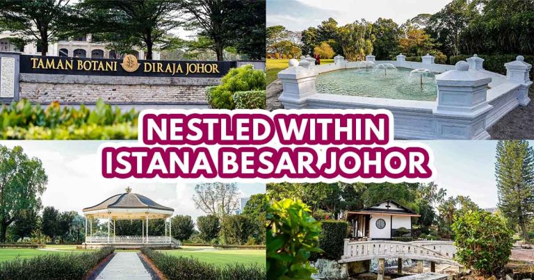 Johor Royal Botanical Gardens - Featured image