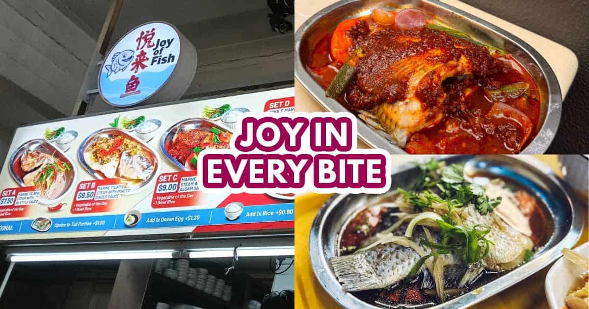 joy of fish - featured image