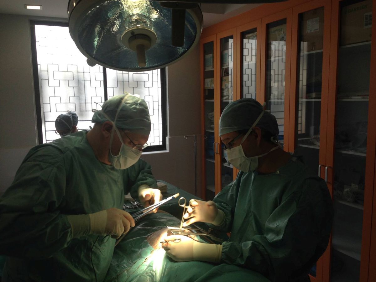 Best Veterinarian in Singapore - Landon