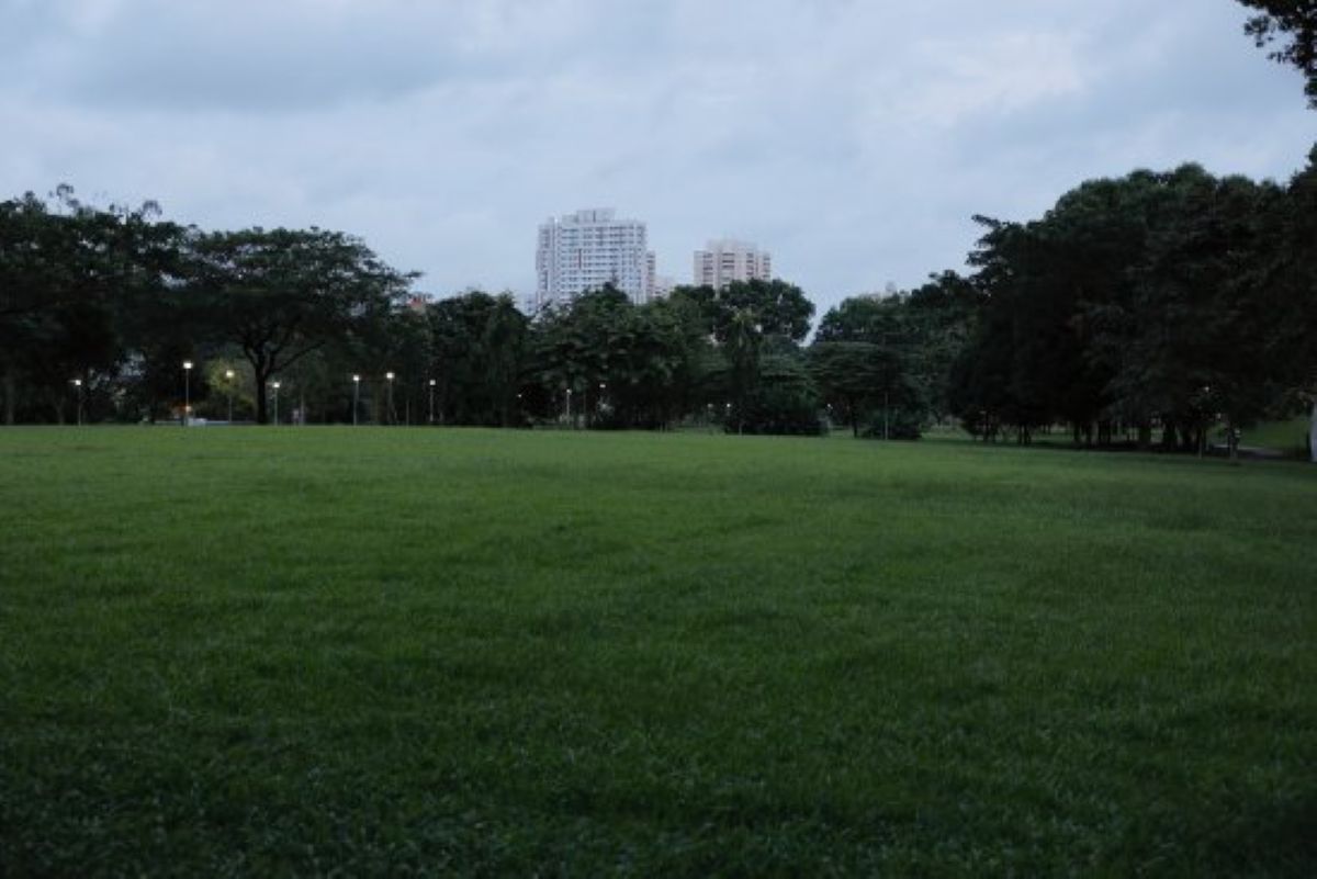 Where to Catch NDP Fireworks - Open Field