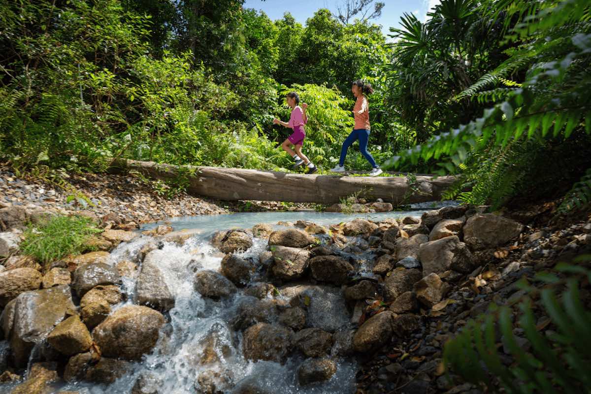 September holidays activities - Rainforest Wild ASIA