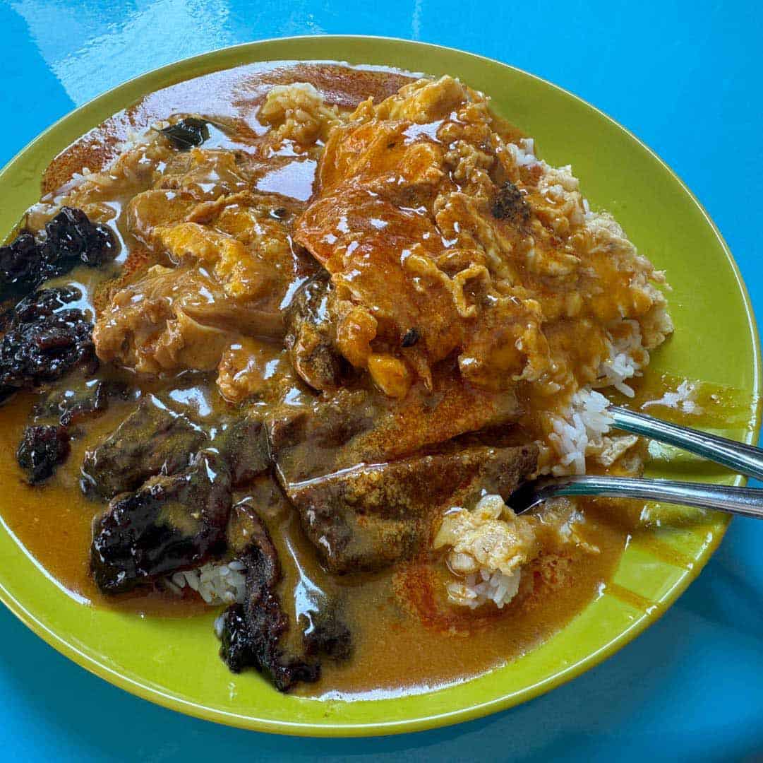 sin hock heng curry rice - curry rice