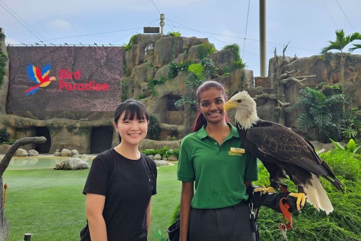 Egg Splash Bird Paradise - meet & greet