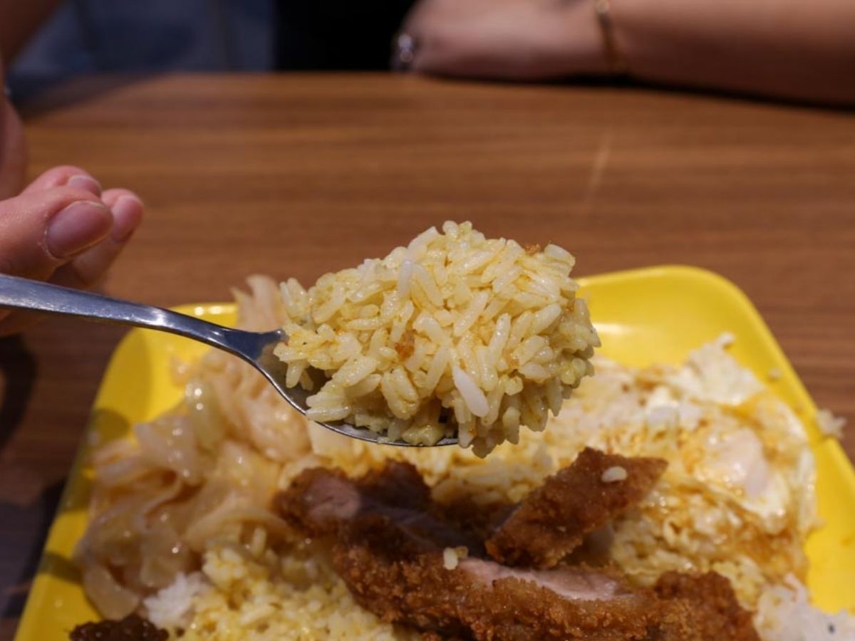 Hock Gooi Hainanese Curry Rice - curry rice