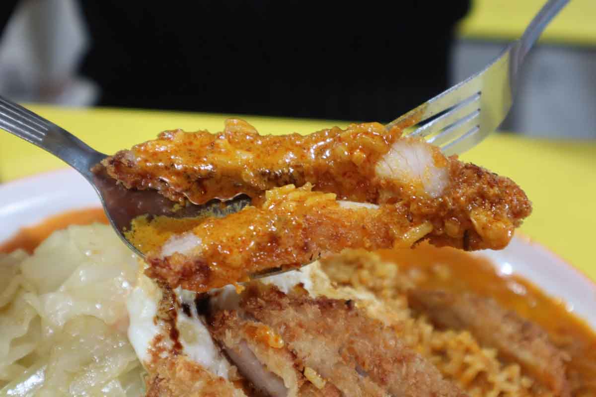 curry papa xpress - pork cutlet curry