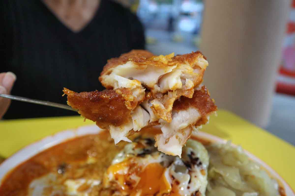 curry papa xpress - fried fish closeup