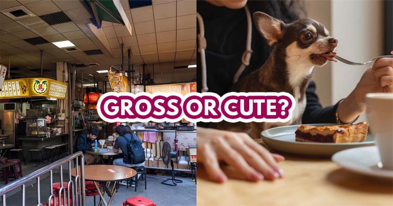 Pet-friendly Food Court Drama - Featured image