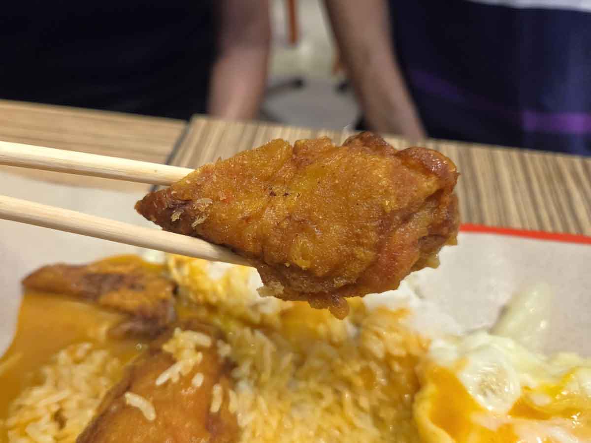 worst rated curry rice - chicken wing closeup
