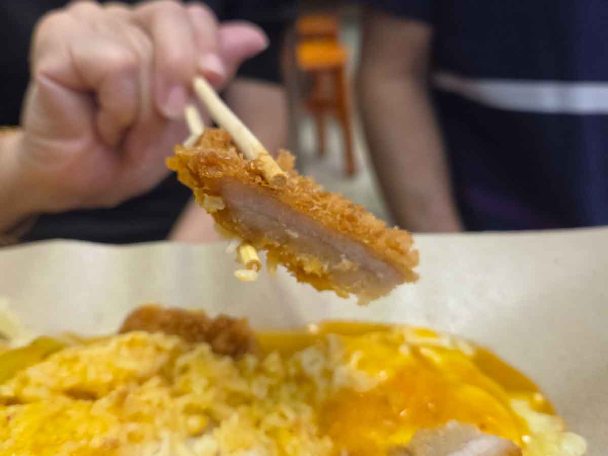 worst rated curry rice - pork closeup