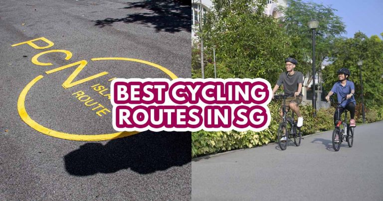 Cycling routes in Singapore - featured image