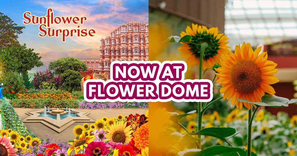 Sunflower Surprise Flower Dome - featured image