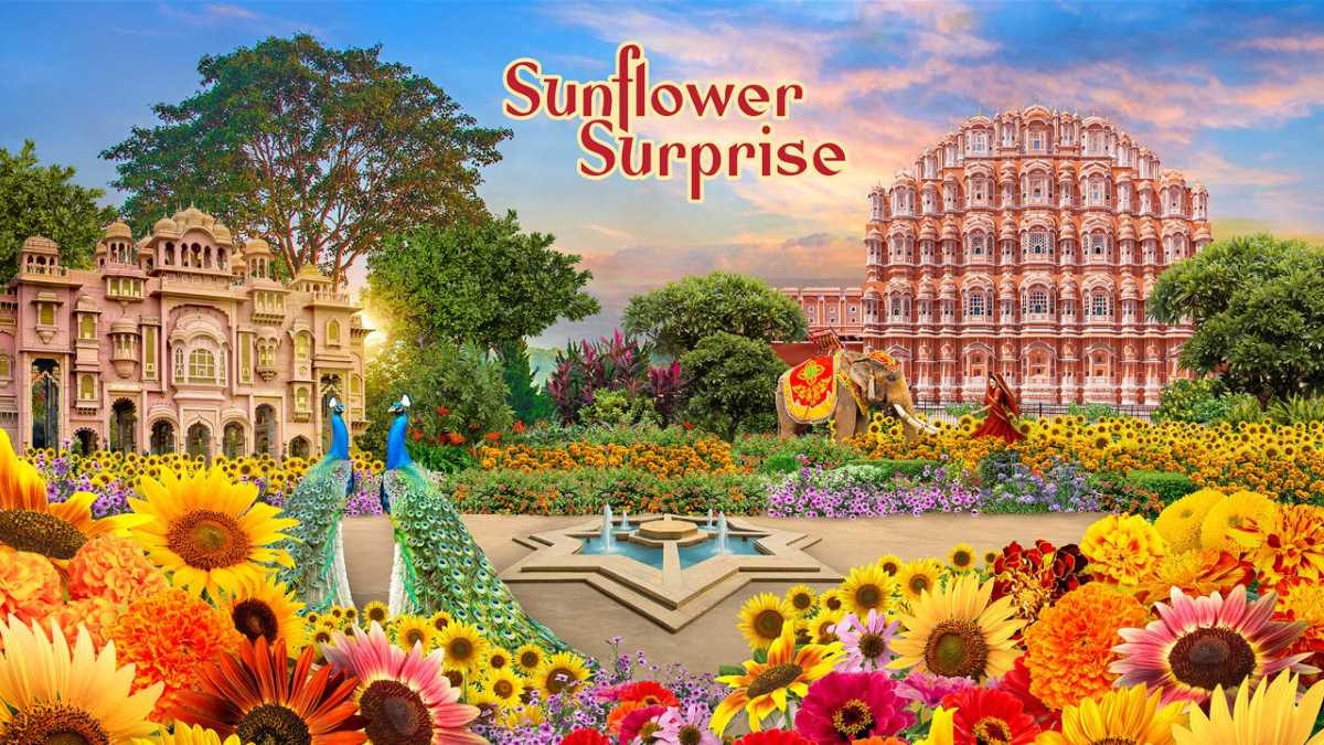 Things to do in November - Sunrise Surprise
