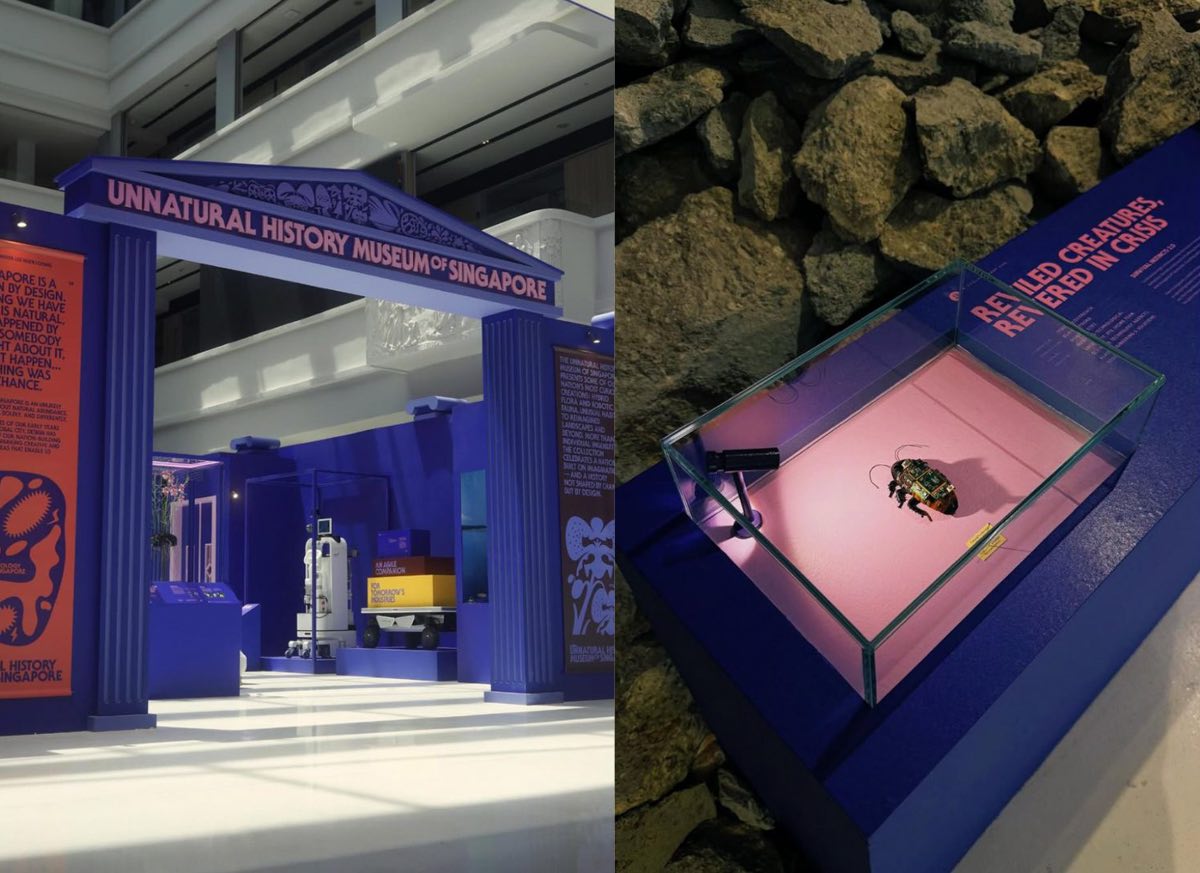 Things to do in October 2025 - Unnatural History Museum of Singapore