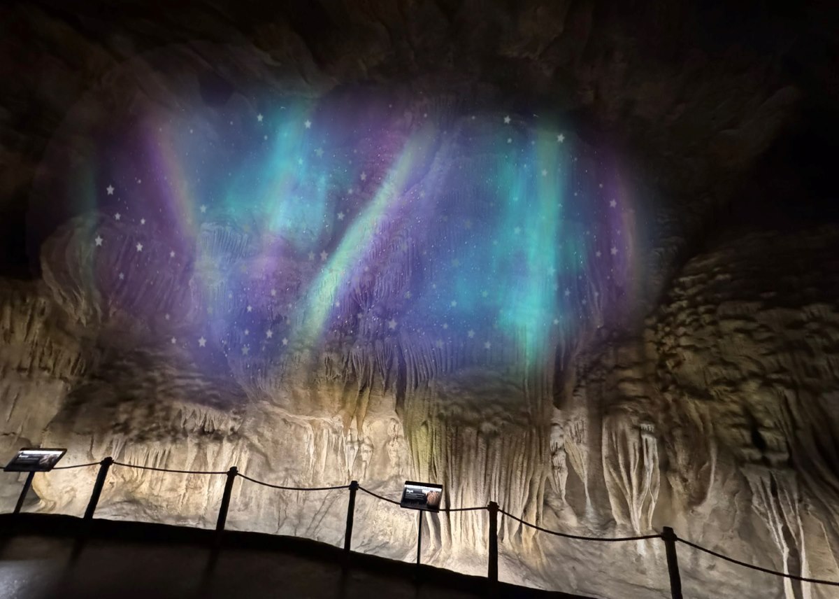 Zootopia Mandai Wildlife Reserve - Aurora Snowy Cavern Wild-erland