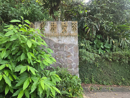 taiwan - tea farm entrance
