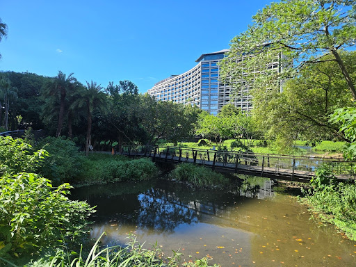 taiwan - stream