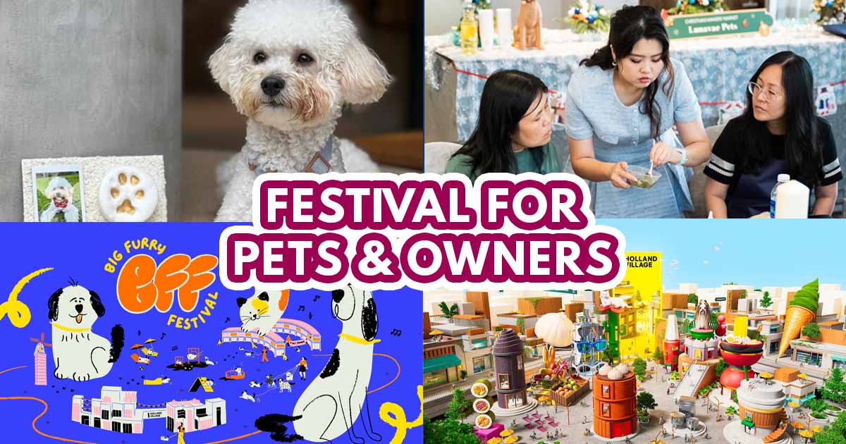 Big Furry Festival - featured image